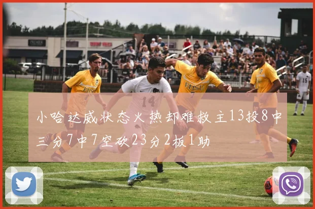 小哈达威状态火热却难救主13投8中三分7中7空砍23分2板1助