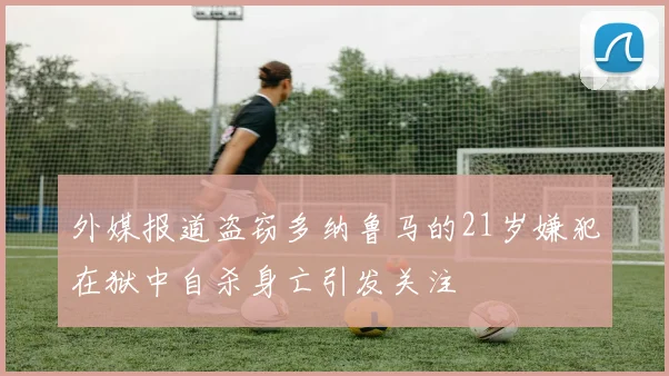 外媒报道盗窃多纳鲁马的21岁嫌犯在狱中自杀身亡引发关注