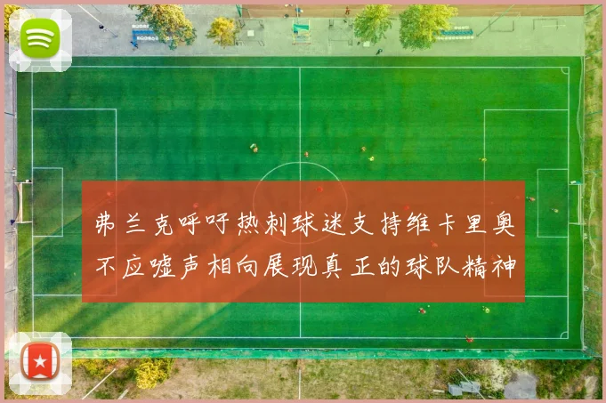 弗兰克呼吁热刺球迷支持维卡里奥不应嘘声相向展现真正的球队精神