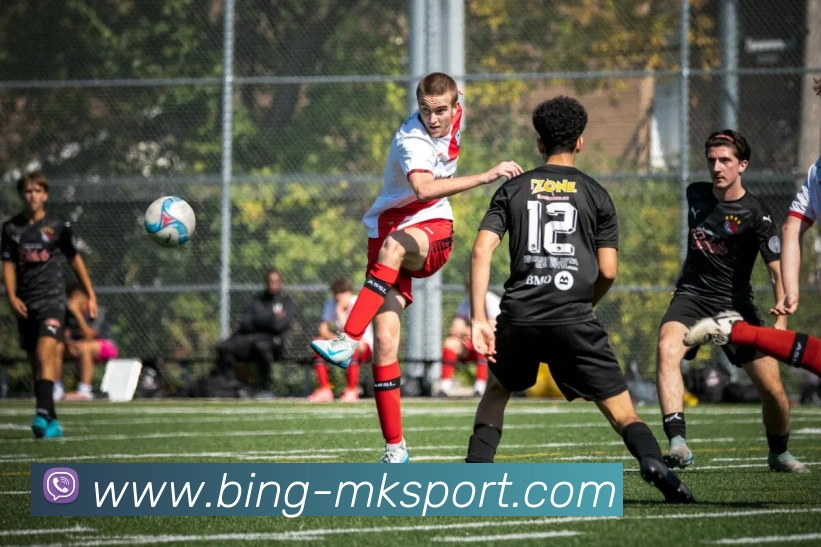 MK体育发展历程